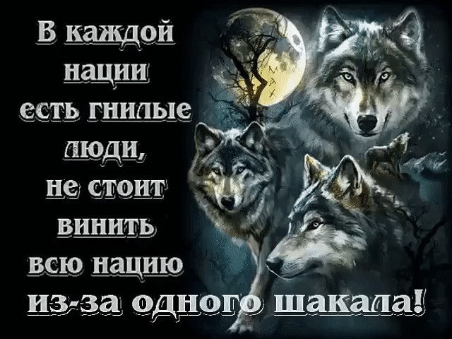 16zHZw138FM