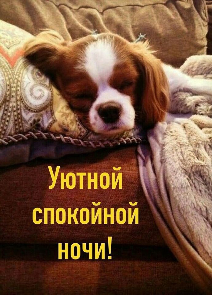 Всем!