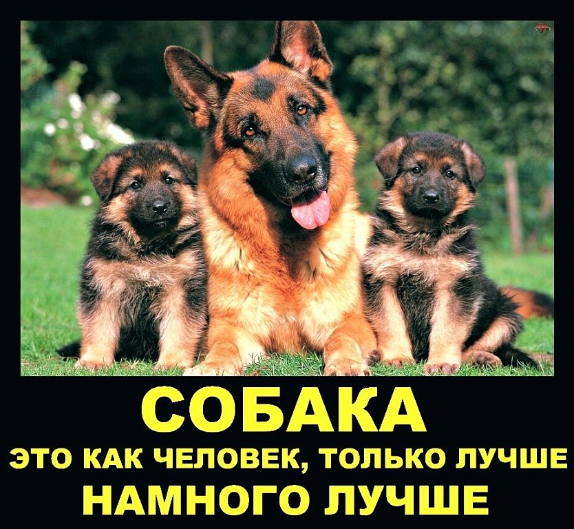 Намного лучше