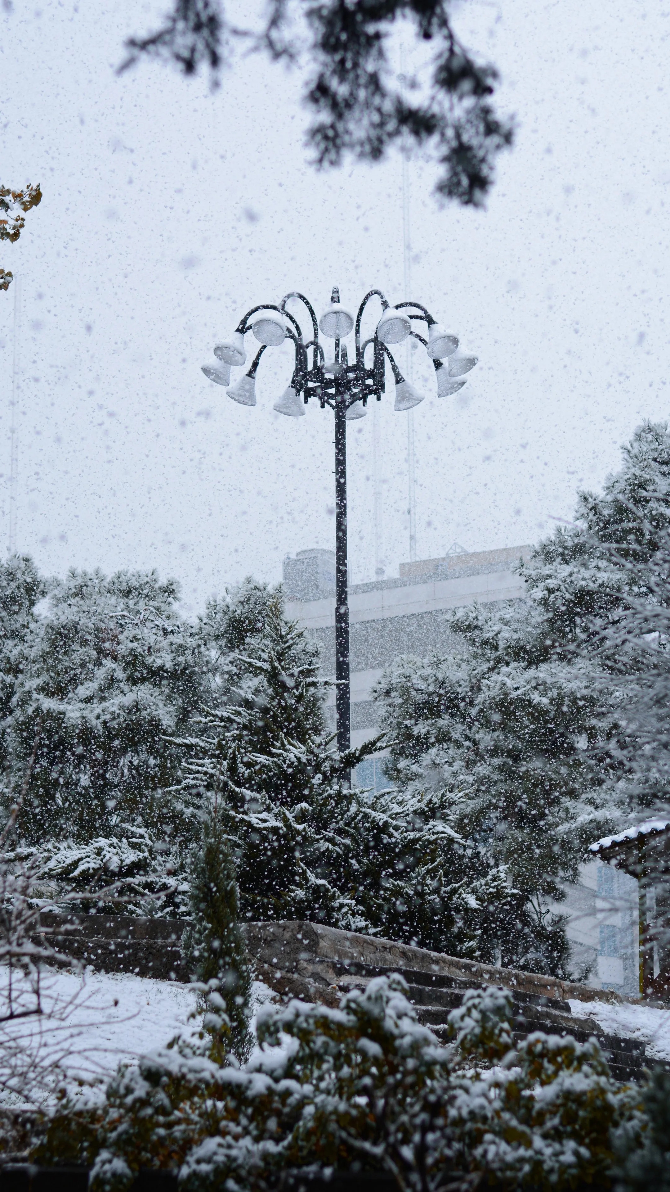 4K-Winter-312