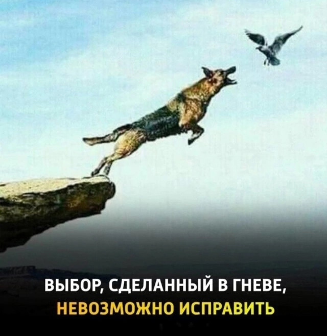 IMG 20250220 185155
