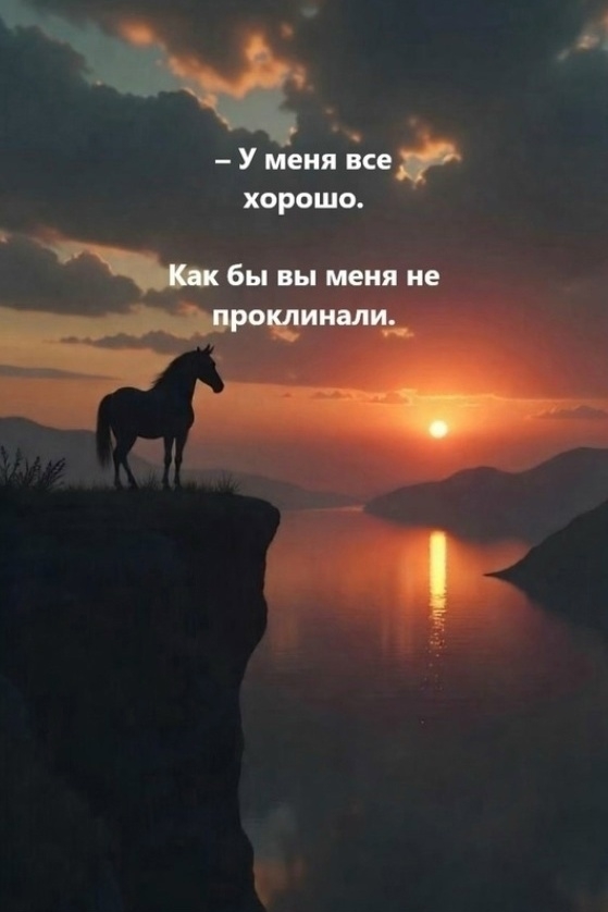 SvAHXFJ qV8