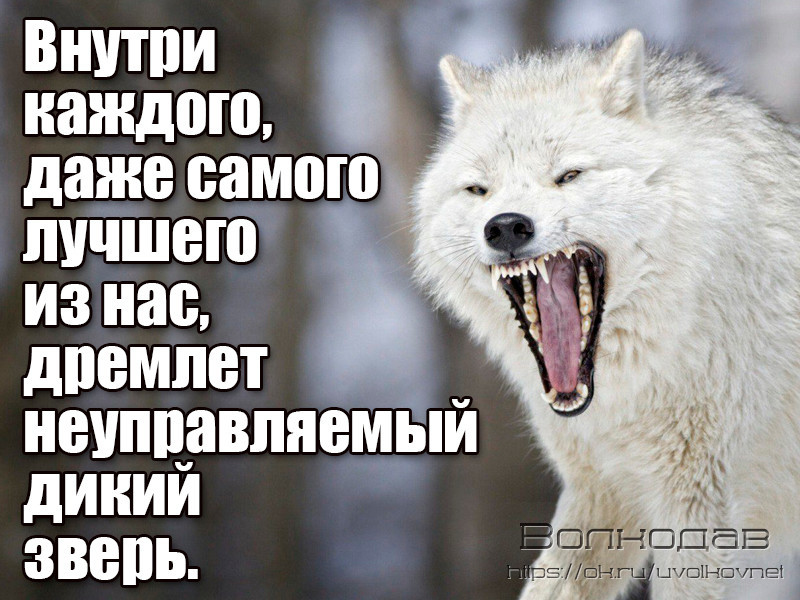 IMG 20190720 212103