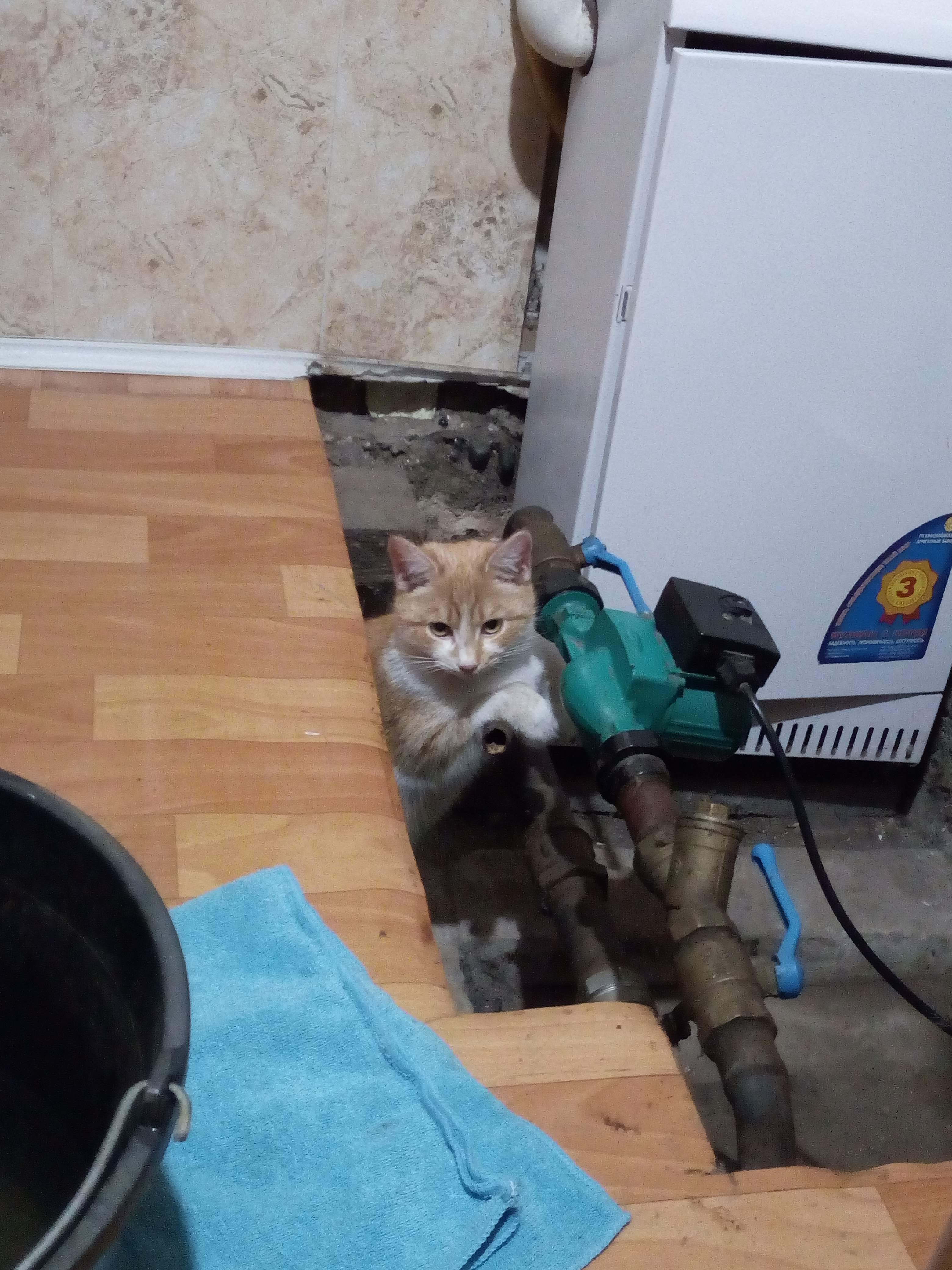 IMG 20191214 195037