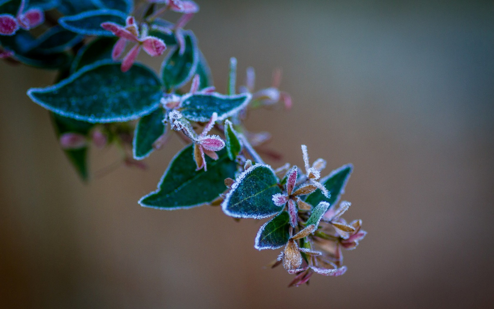 file_70980849