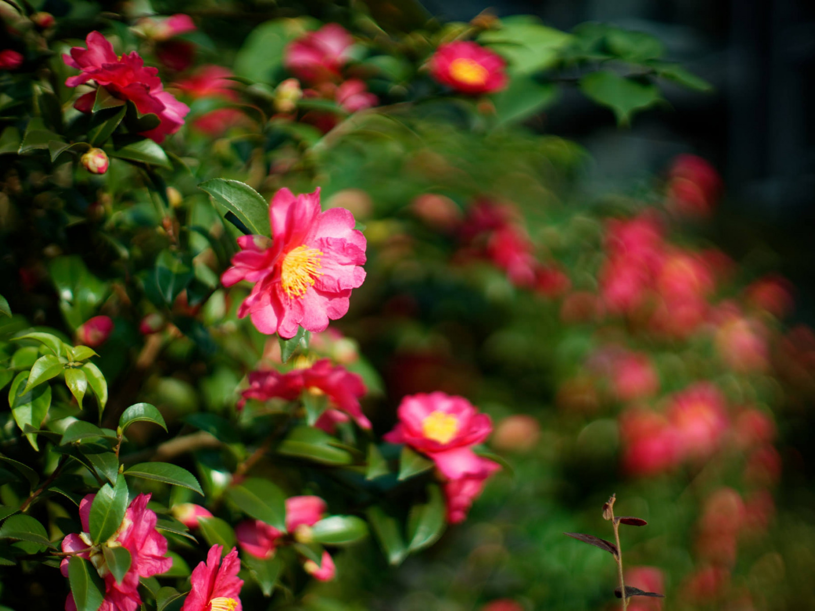 file_76445346