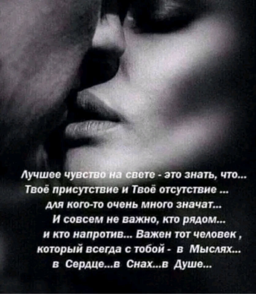 file_101136151