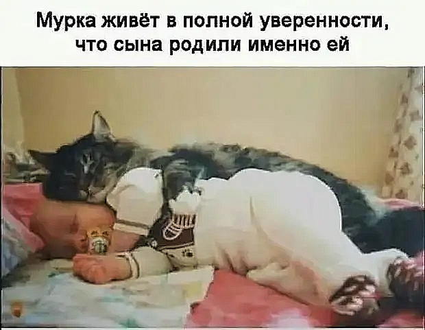IMG 20201028 152135