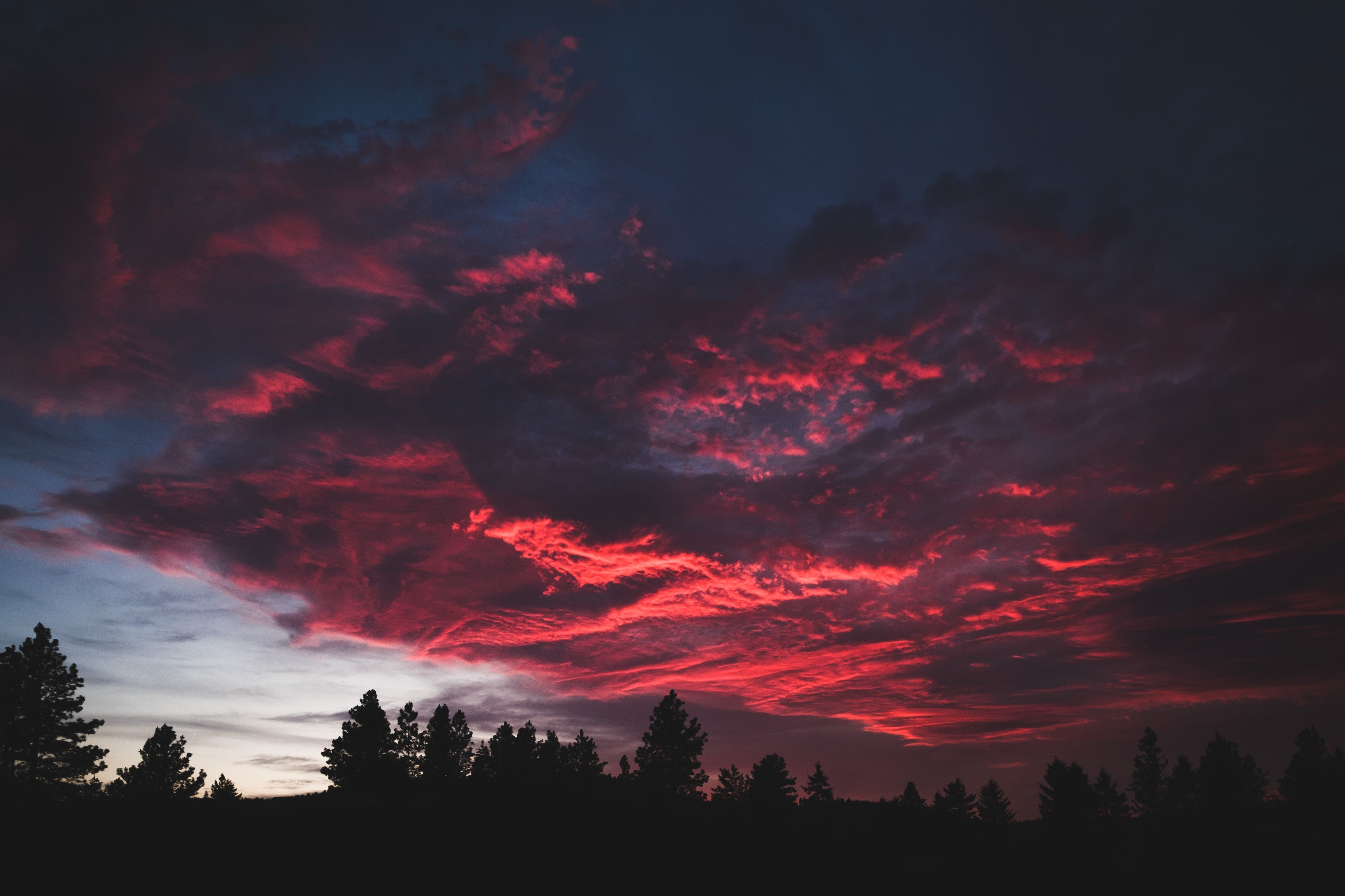 colorful clouds sunset dark tree 4k