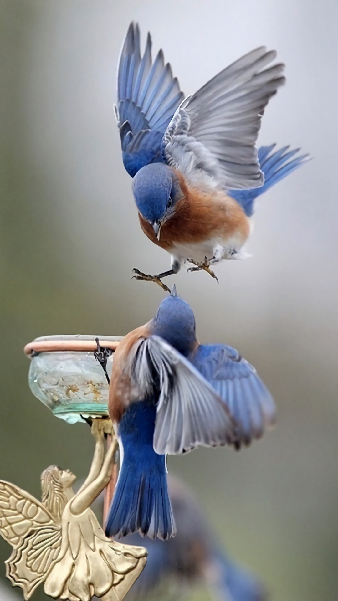 file_90586016