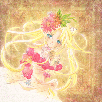 animacii 41
