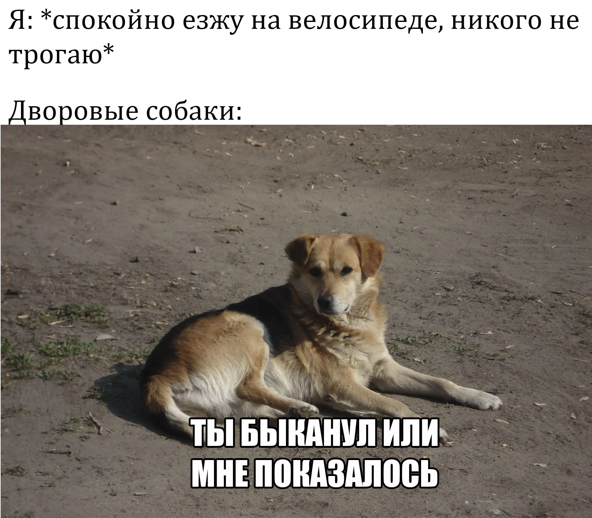 Опаньки!