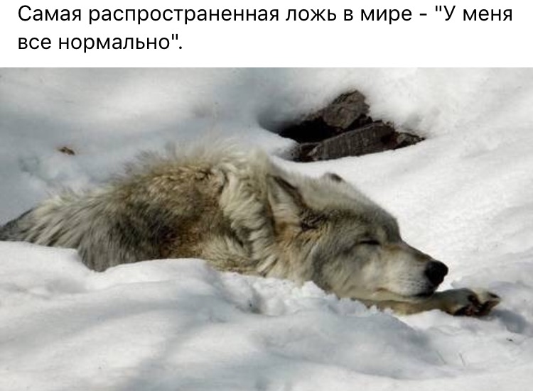 Цитаты Волки