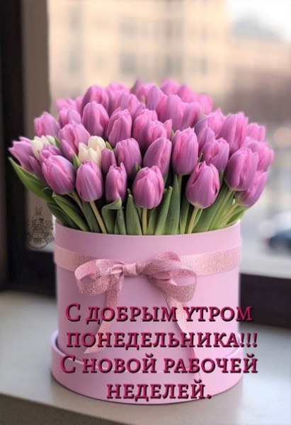 file_95214433