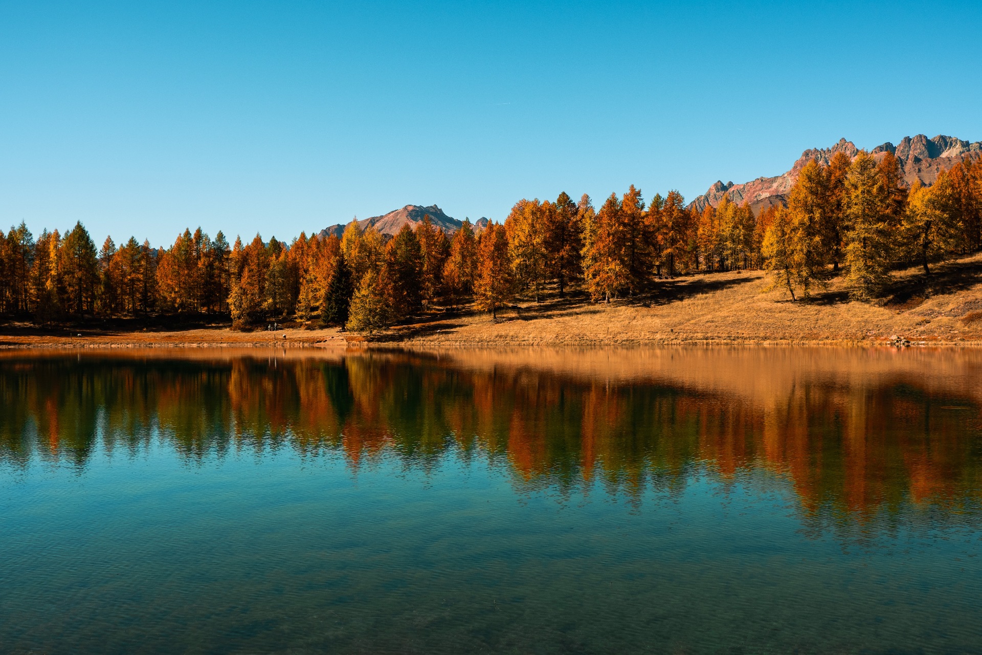 original 6000x4000