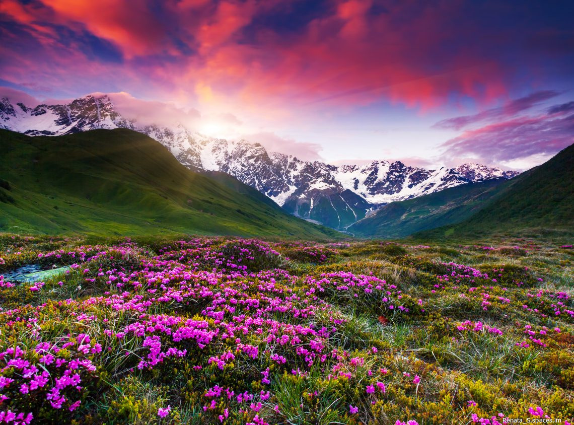 shutterstock 165395723-1140x844