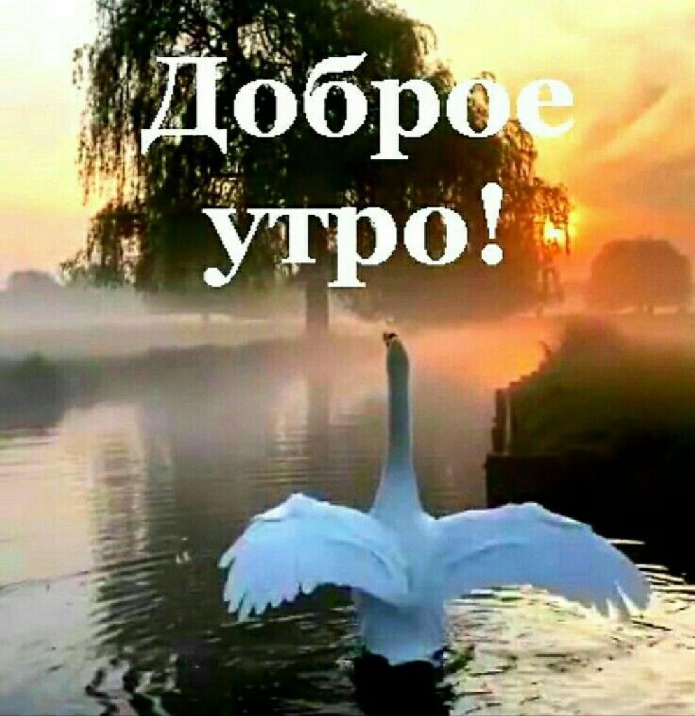 file_90557076