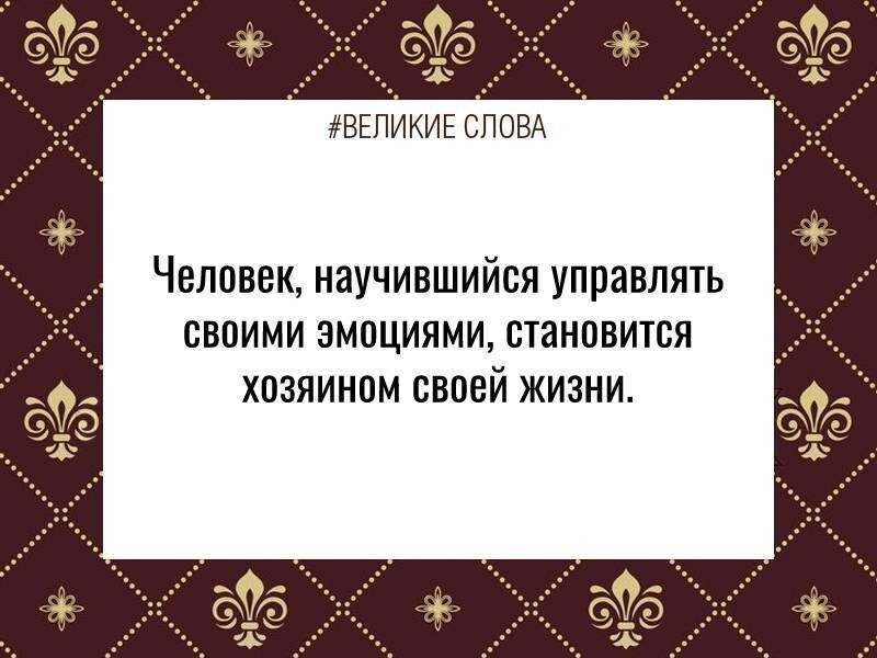 IMG 20250314 172729