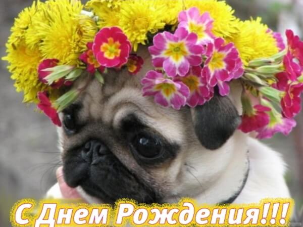 IMG 20181225 073298