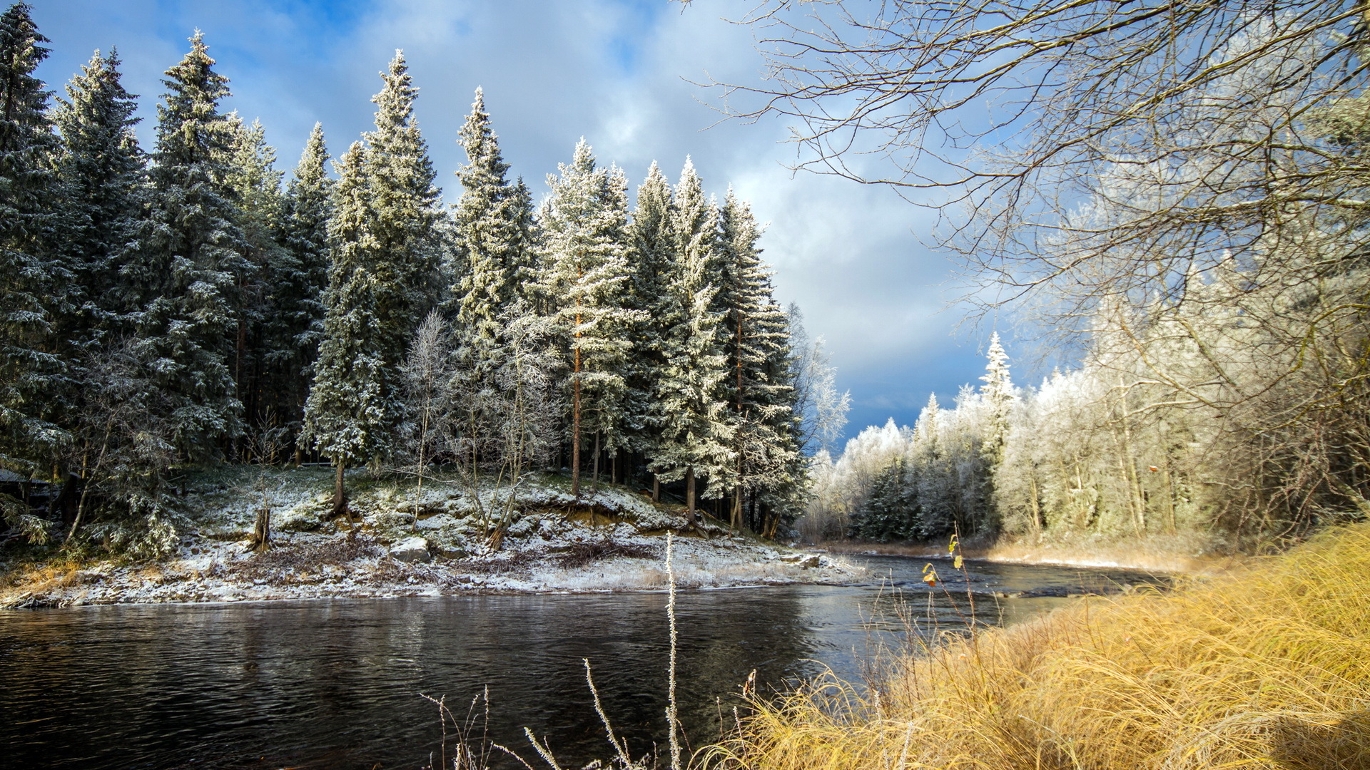 Reka-les-peyzazh-5949