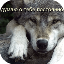 getImage(702)