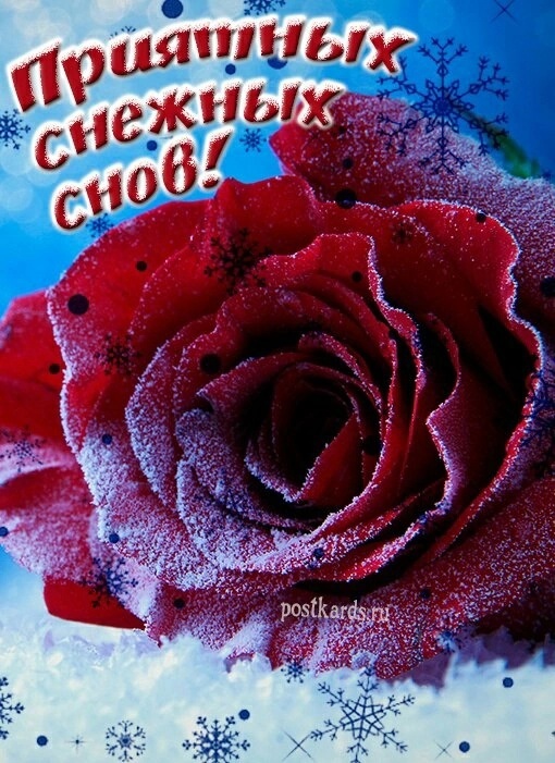 54CfElNJCvw