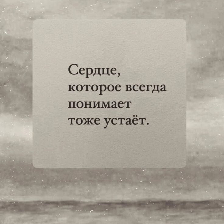 IMG 20250220 185226