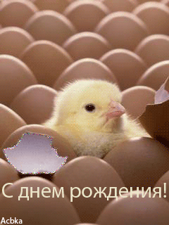file_29452430