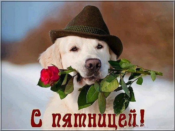 file_75809493