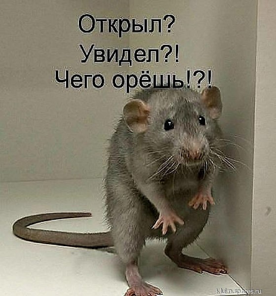 image (4)