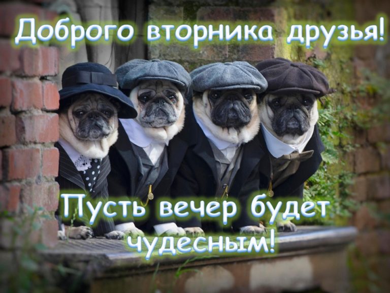 Да!