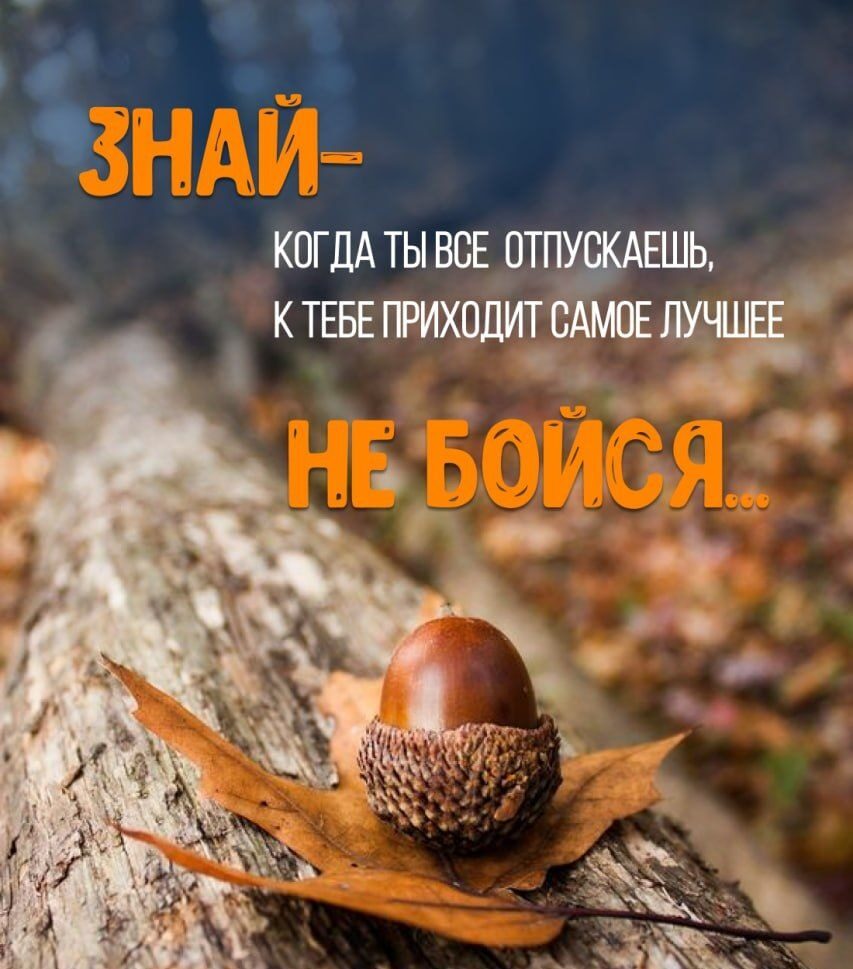 IMG 20250219 163852