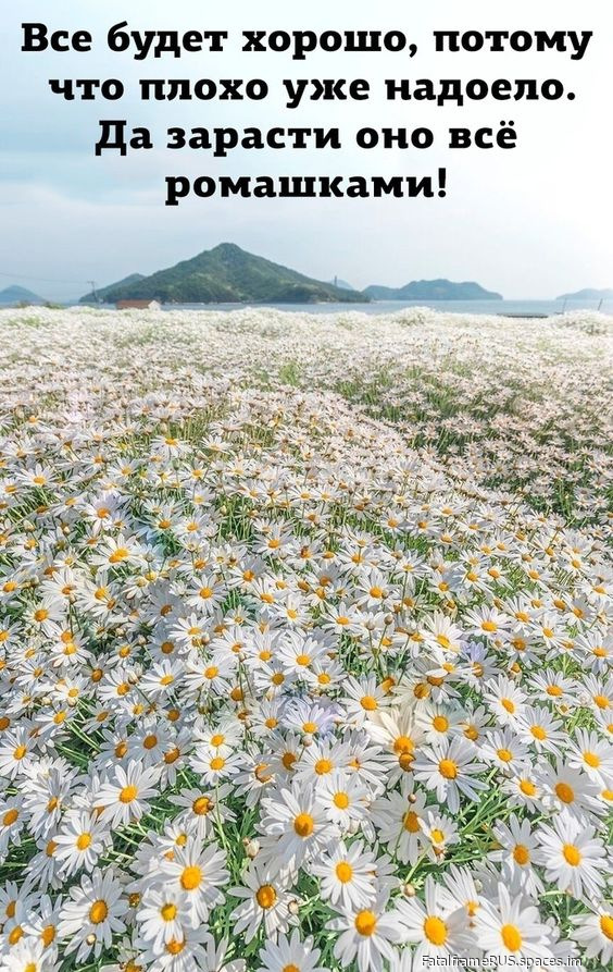 Пожелания by FatalframeRUS (70)