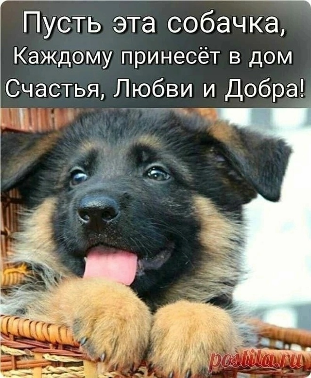Каждому!!!
