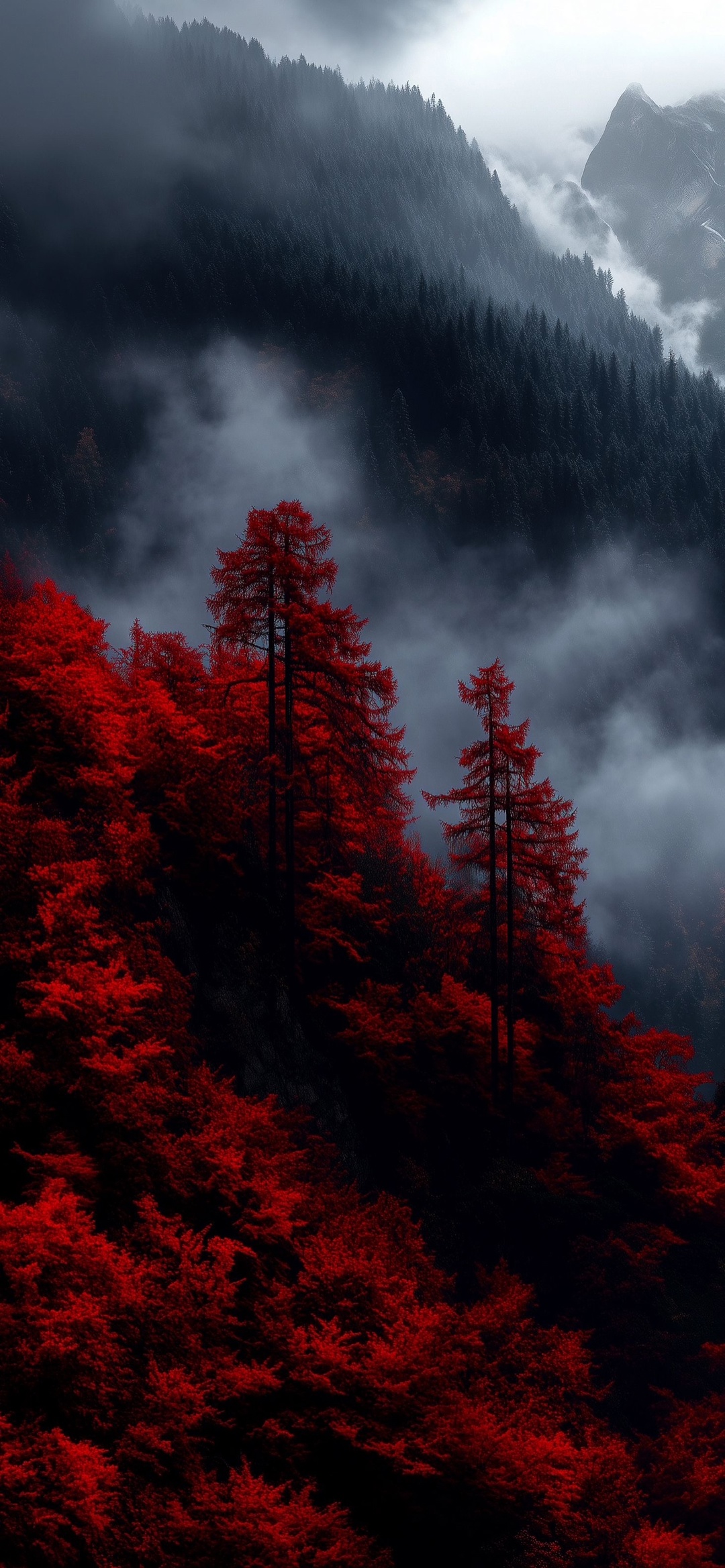 file_99473260