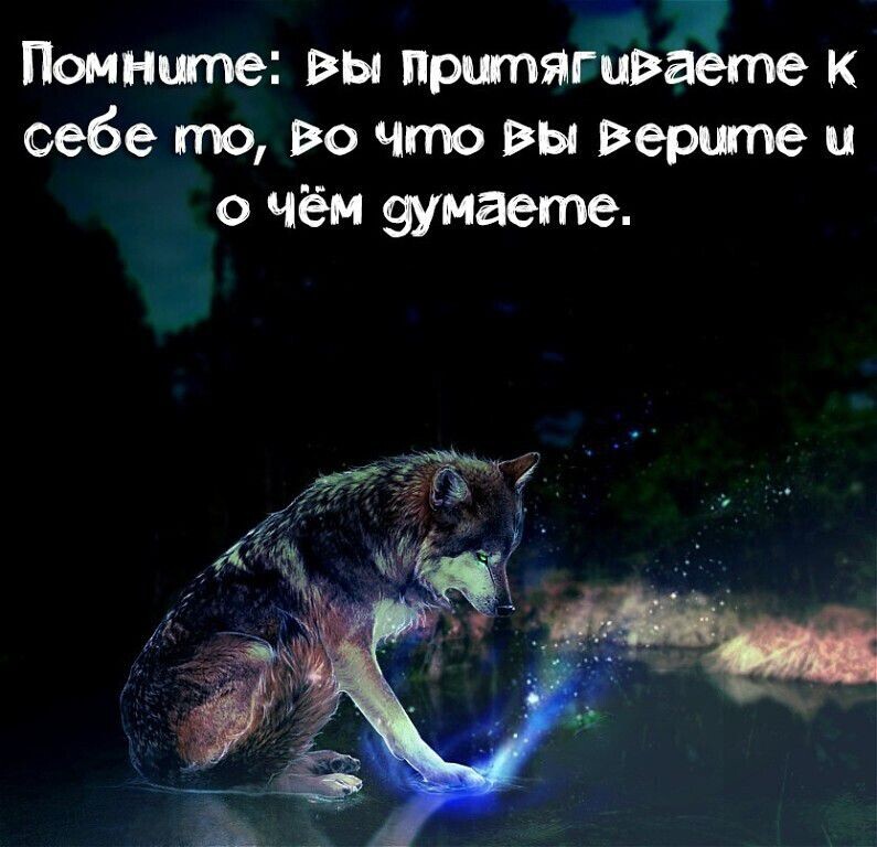 IMG 20250317 164414