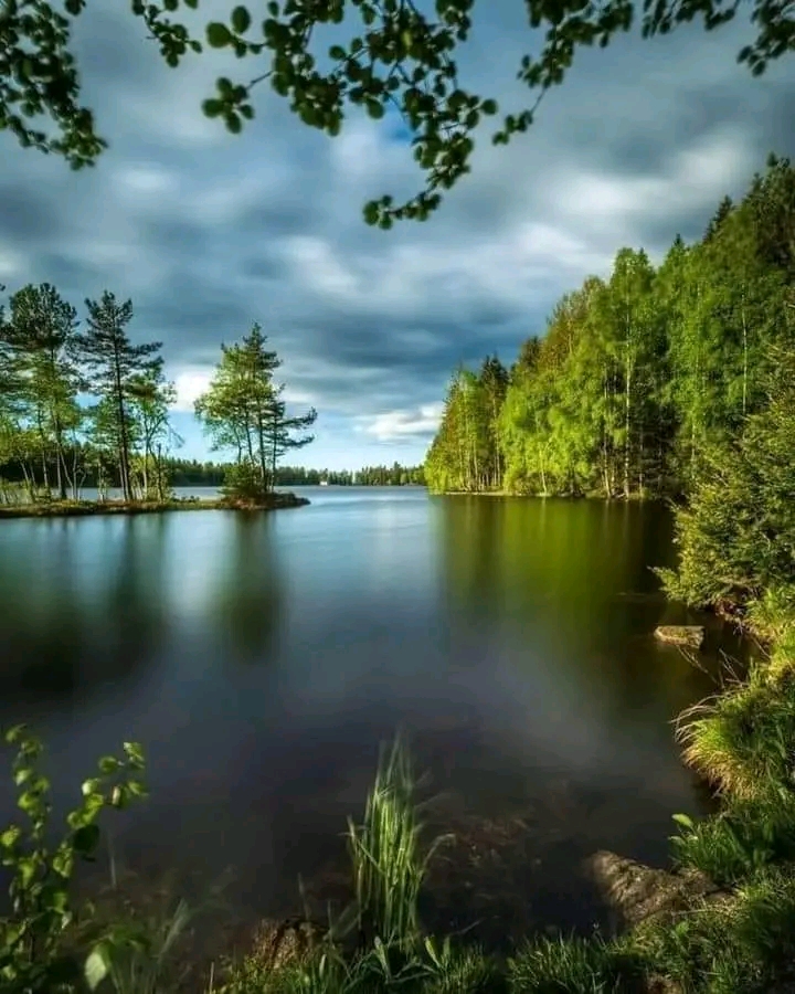 file_99507198