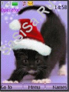 black-kitten 1