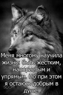 Меня научила жизнь