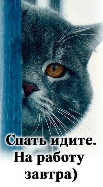 IMG 20231115 152609