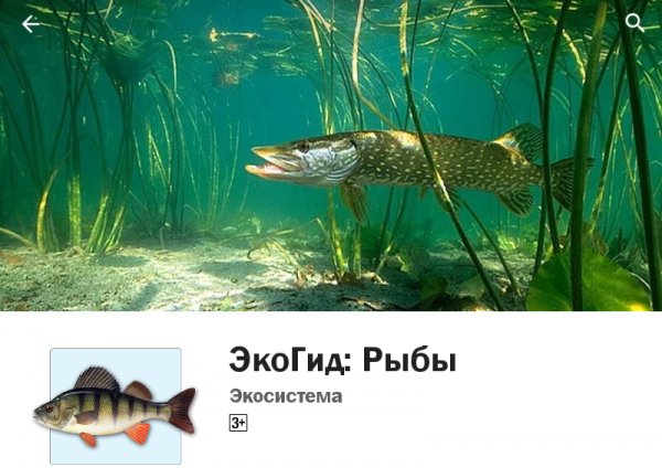 EcoGuideFish 3.01