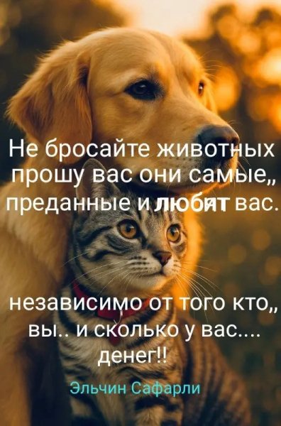 file_101504384
