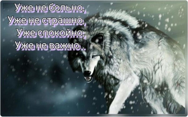 image (13)