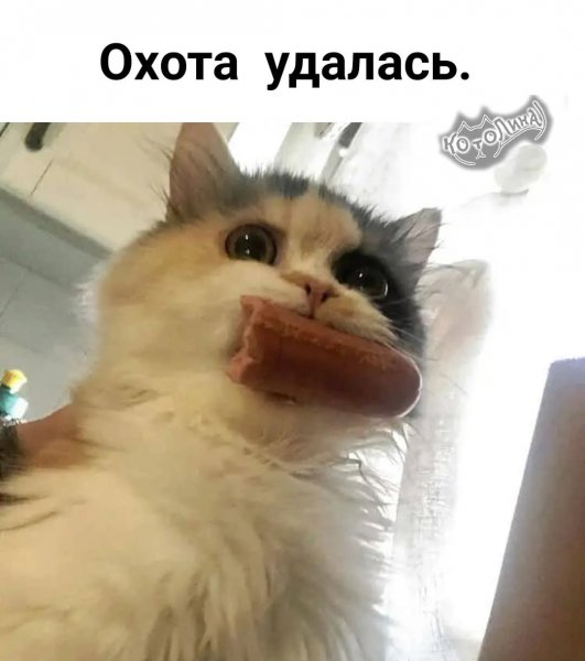 FB IMG 1771868241447