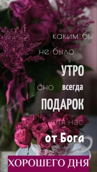 IMG-20260309-WA0026