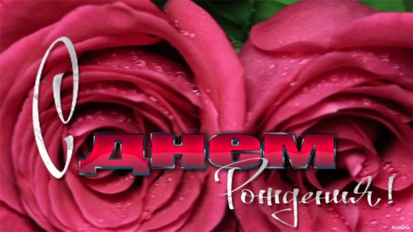 gif 1517904446
