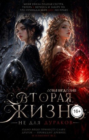 Недосып Соня Вторая жизнь не для дураков (2026)
