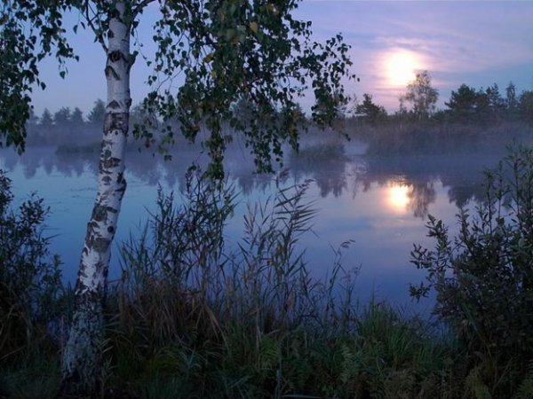 ВЕЧЕР 5