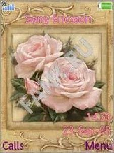 Old Rose