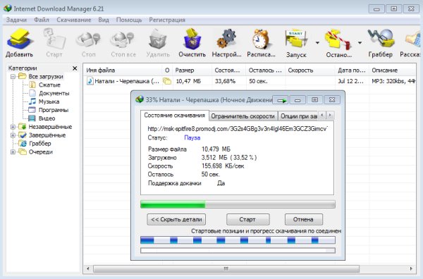 Internet.Download.Manager.v6.21.1